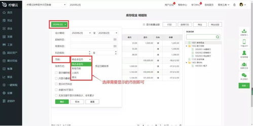 檸檬云財務軟件常見賬簿問題與解決指南